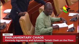 Parliamentary Chaos Kennedy Agyapong and Sylvester Tetteh Clash on the Floor [upl. by Akeirahs]