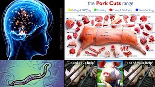 Dear Pork Eaters You Might Be Hosting Parasites amp Brain Worms [upl. by Tekla936]