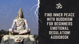 ✩°｡⋆⸜ 🎧✮ DISCOVER Emotional Regulation Secrets in Buddhism for Beginners AUDIOBOOK [upl. by Etoile]