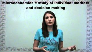 Microeconomics Versus Macroeconomics [upl. by Finny]