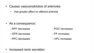 Filtration FractionPhysiology [upl. by Cressi756]