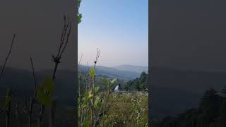 Beautiful Ranikhet View from chaukhutiya ❤️❤️❤️ travel nature ramgarh ranikhet naturelovers om [upl. by Martguerita]