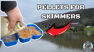 PELLETS FOR SKIMMERS  MATCH WINNING METHODS EXPLAINED [upl. by Eibreh155]