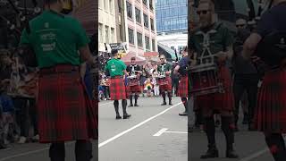 Bagpipes Cuba Dupa Festival wellington newzealand [upl. by Eilojne158]