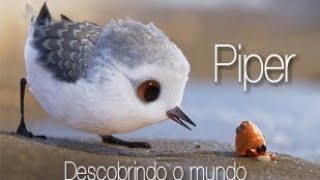 Piper  Descobrindo o Mundo [upl. by Naahsar]