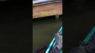 Sling Shotting Crappie Under Docks‼️ [upl. by Nomad]