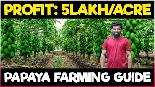 Papaya Farming  Pawpaw Cultivation  COMPLETE GUIDE  How to grow Papaya [upl. by Higinbotham]