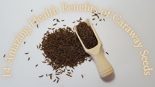 14 Amazing Health Benefits of Caraway Seeds [upl. by Birkett581]