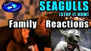 SEAGULLS Family REACTIONS Hilarious song [upl. by Benedetto]