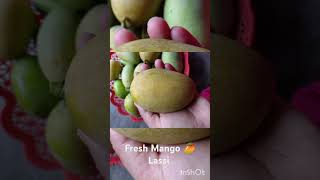 Fresh Mango 🥭 Lassi food mango recipe cooking mango 🥭🥭🥭🥭 [upl. by Cati]