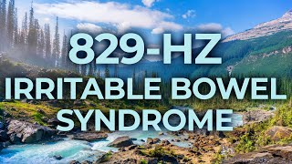 829Hz Music Therapy for Irritable Bowel Syndrome IBS  40Hz Binaural Beat  Healing Relaxing [upl. by Bissell]