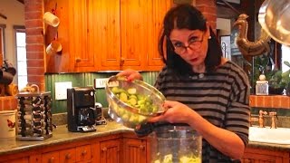 Cuisinicity video Enjoy your cruciferous veggies [upl. by Calore238]