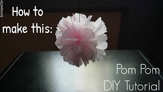 How to Make Tissue Paper Pom Pom DIY [upl. by Averell888]