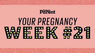 Your pregnancy 21 weeks [upl. by Danzig]