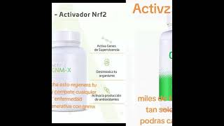 ACTIVADOR NRF2 [upl. by Dahij]