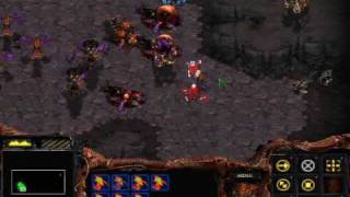 Starcraft Brood War  Zerg Mission 8 To Slay the Beast [upl. by Kathlin]