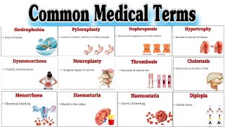 Common Medical Terms  Medical Terminology  Parts2 [upl. by Cathie261]