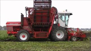 Vervaet with Steyr 6140 cvt en Steyr 4110 profi [upl. by Ynnot281]