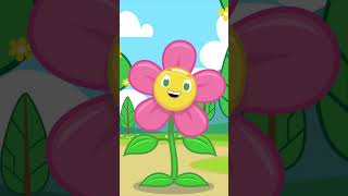 Nani ki chappal animation cartoon cartoon rhyems cute animatedcartooneducationalvideo flowe [upl. by Aihsema]