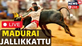 Madurai Jallikattu LIVE  Bull Taming Festival Madurai Jallikattu In Tamil Nadu LIVE  N18L [upl. by Dinny564]