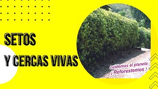 Setos y Cercas Vivas 🌳🌳🌳 [upl. by Kai]