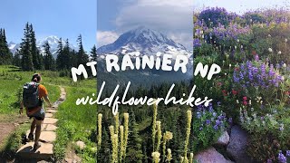 Mt Rainier National Park Wildflowers  All the BEST Wildflower Day Hikes [upl. by Kobi]