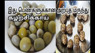 இது பெண்களுக்கான அற்புதமான மருந்துகழற்சிக்காய்Health Tips for Women in TamilPhysic Nut [upl. by Loredana827]