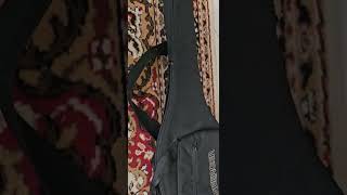 Steinberger gigbag for sale [upl. by Hermann]