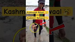 Kalkharab Bihari vs kashmiri Behwaal 😲 Koshur Jugaad  viral short video  gashe taruk  funny video [upl. by Kcirtapnaes]