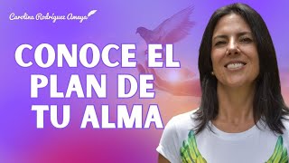 Conoce el plan de tu alma [upl. by Narmak]