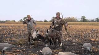 MidWest Outdoors TV Show 1542  Goose hunting in Minnesota with the Beavertail Crew [upl. by Devin]