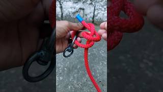 New Way to tie ring knot knot shorts howtotieaknot [upl. by Dugaid]