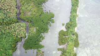 Drone Aerial video of the famous Nan Madol in the island garden of Pohnpei Ponape State FSM [upl. by Sergeant]