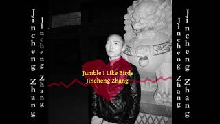 Jincheng Zhang  Lament I Like Birds Official Audio [upl. by Julieta564]