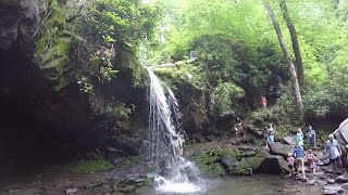 Hike to Grotto Falls in the Great Smoky Mountains National Park [upl. by Briant]