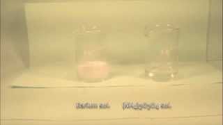 Reaction of barium Solution with Ammonium Oxalate solution [upl. by Copp178]