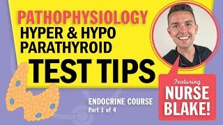 Hypoparathyroidism vs Hyperparathyroidism NCLEX Pathophysiology Endocrine Review with Nurse Blake [upl. by Emee]