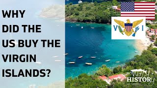 Why did the US buy the Virgin Islands [upl. by Ellary]