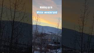 arctic sunrise 🤍🩵💛🩷auroraborealis 💚💙 akureyri travel nordic iceland travelvlog shorts [upl. by Eliathas]