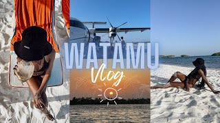 WATAMU VLOG  Exploring Watamu  Temple Point Resort Papa Remo and Lichthaus Watamu [upl. by Rozelle219]