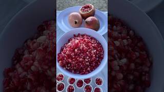 USDA Pomegranate Tasting Table 1 Sweet [upl. by Nioe45]