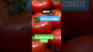 Ramadan le prix de la tomate repart à la hausse [upl. by Gualtiero499]