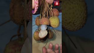 Amazing Lychees Cutting Skillslychees cutting shorts shortvideo shortsvideo lychee cutting [upl. by Hatti]