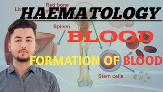 lecture 5Haemopoiesisthe process of formation of blood cellsरक्त निर्माण की प्रक्रिया [upl. by Sihtnyc]