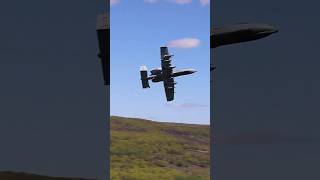 A10 Thunderbolt in Action  A10 Air Defense Training  Warthog Brrrt [upl. by Arreyt]