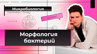 Микробиология  МОРФОЛОГИЯ БАКТЕРИЙ [upl. by Darla]