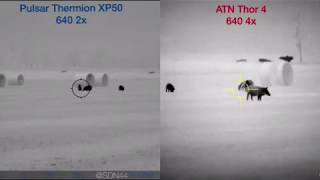 ATN Thor 4 640 vs Pulsar Thermion XP50 Video Comparison [upl. by Mharba]