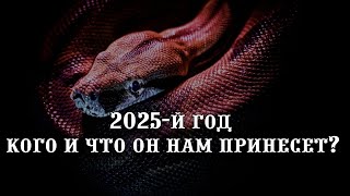 Когда китайский Новый год 2024 [upl. by Airliah]