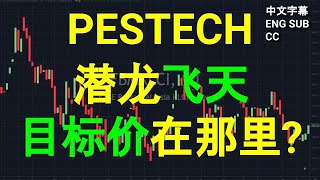 PESTECH  潜龙飞天，目标价在那里 午盘筹码峰技术分析CC 中英文字幕 ENG SUB 00102023 [upl. by Elleval572]