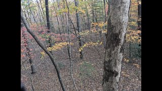 NEAR CATASTROPHE While Deer hunting Tennessee WMA Public Land [upl. by Dub]